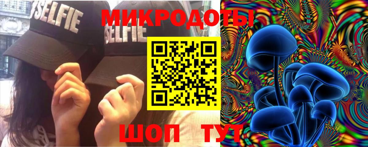 Галлюциногенные грибы Psilocybe Сунжа