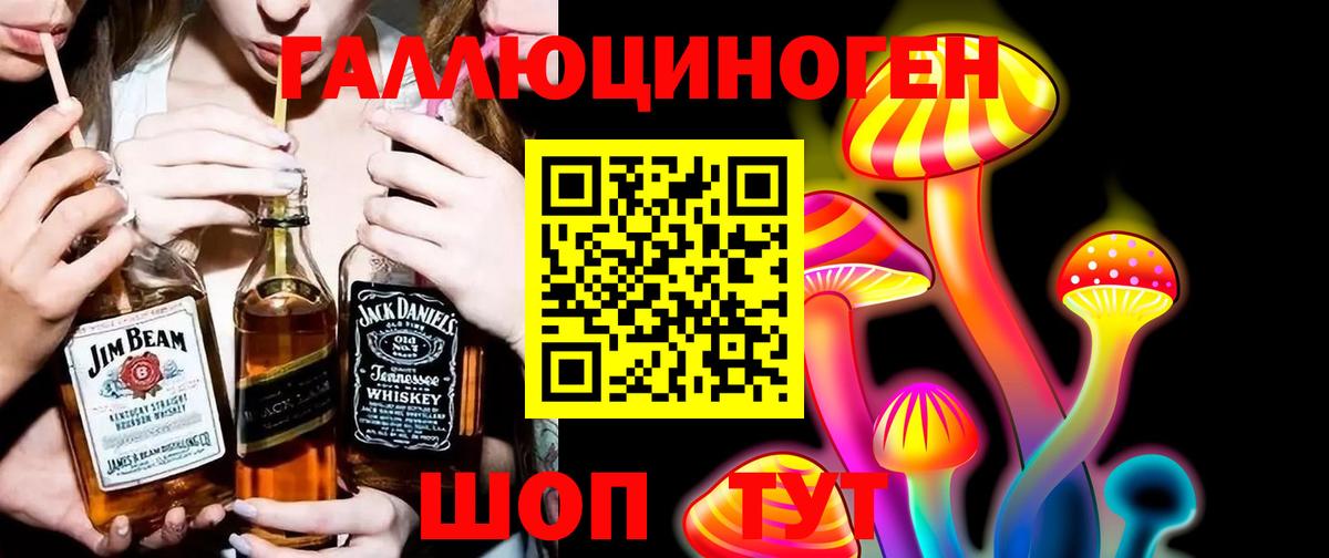 купить закладку  Вход с VPN  Сунжа  Псилоцибиновые грибы Psilocybe 