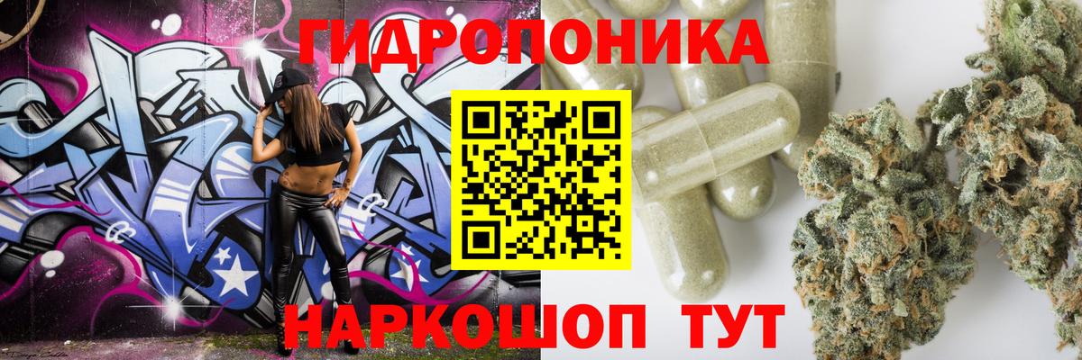 Конопля конопля  Вход с VPN  МАРИХУАНА ГИДРОПОН  Сунжа  Бошки марихуана марихуана 